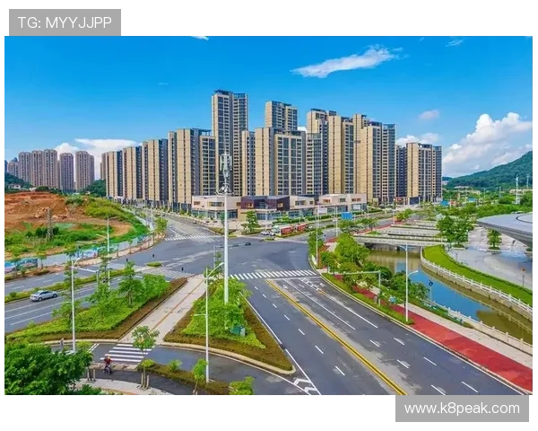 K8厅总部在行业标准制定中的作用与未来合作潜力分析